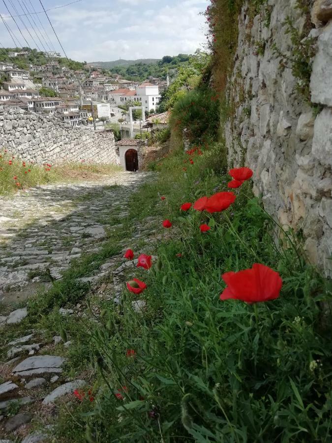 Guesthouse Belle View Berat Esterno foto